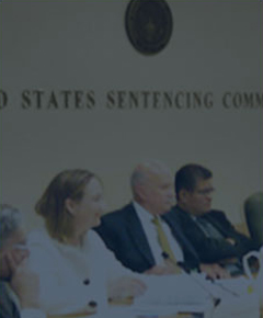 New York Criminal Appeals: Felony Convictions